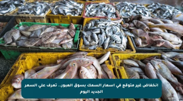 انخفاض غير متوقع في أسعار السمك بسوق العبور.. تعرف على السعر الجديد اليوم